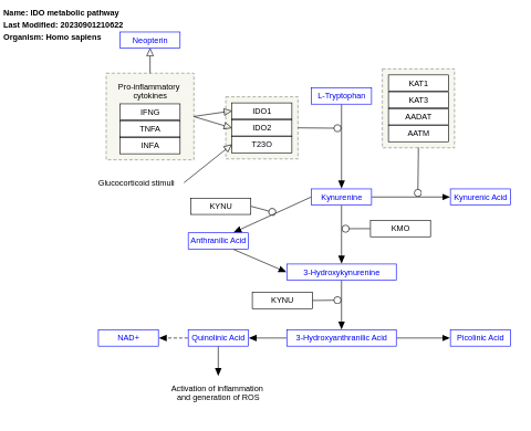 IDO metabolic pathway