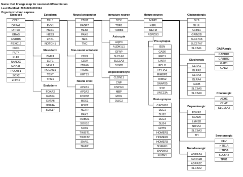 Cell lineage map for neuronal differentiation