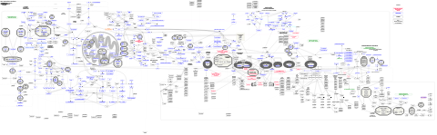 ADHD and autism (ASD) linked metabolic pathways and SNP