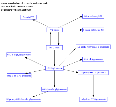 Metabolism of T-2 toxin and HT-2 toxin