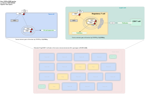 FGFR4 p.G388R signaling pathway