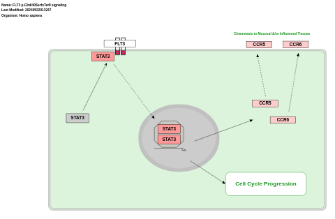 FLT3 p.Gln640SerfsTer8 signaling pathway