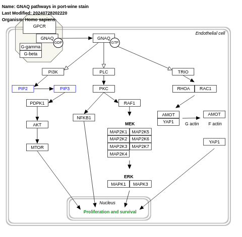 GNAQ pathways in port-wine stain