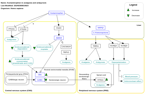 Acetaminophen in analgesia and antipyresis