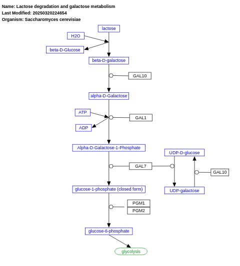 Lactose degradation and galactose metabolism