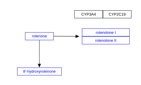 Rotenone metabolism