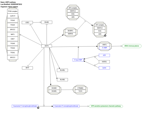 HINT1 pathway