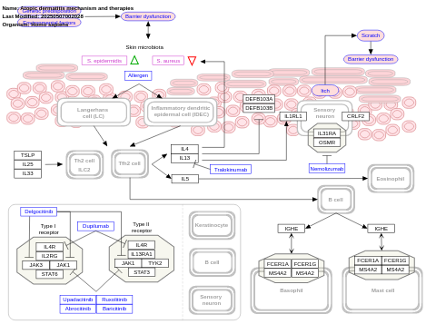 Atopic dermatitis mechanism and therapies