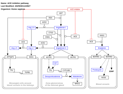 ACE inhibitor pathway