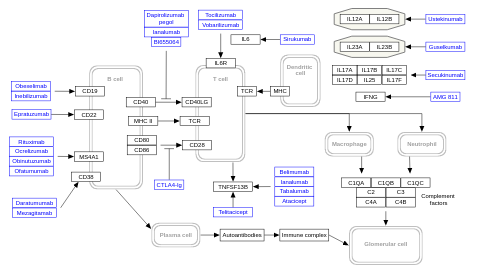 Lupus therapies