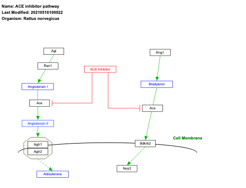 ACE inhibitor pathway