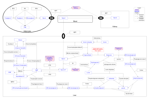 Glycerol metabolism including linked IMDs