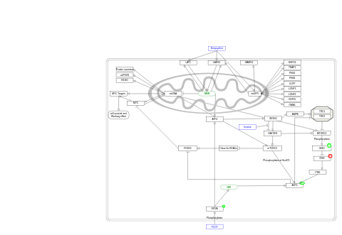 Deregulating cellular metabolism through non-genotoxic carcinogens