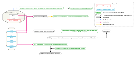 Tessadori-Bicknell-van Haaften syndrome 3 overview pathway
