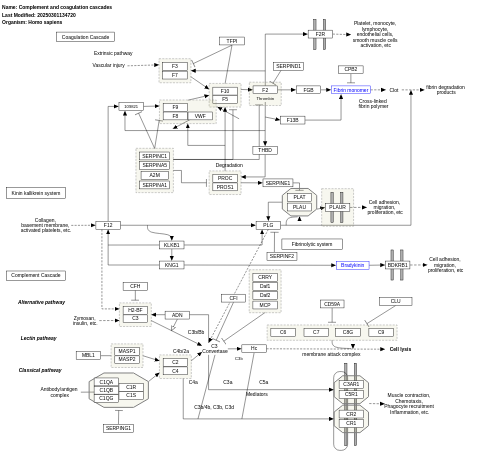 Complement and coagulation cascades