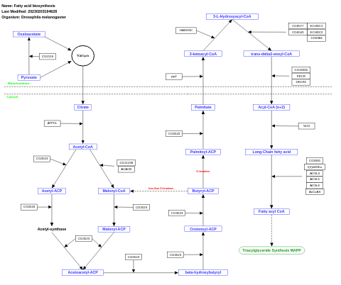 Fatty acid biosynthesis