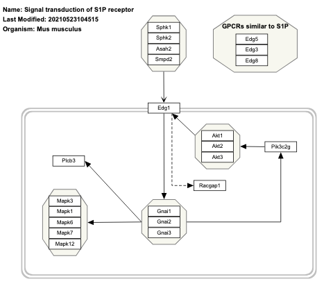 Signal transduction of S1P receptor