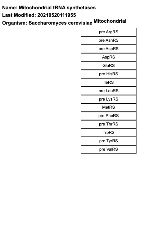 Mitochondrial tRNA synthetases