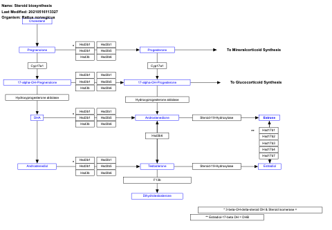 Steroid biosynthesis