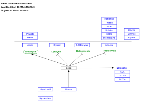 Glucose homeostasis