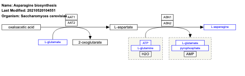 Asparagine biosynthesis