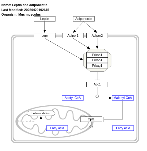 Leptin and adiponectin