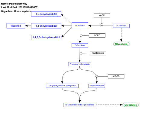 Polyol pathway