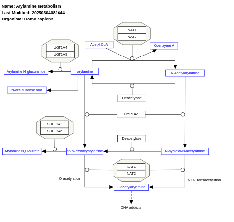 Arylamine metabolism