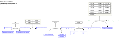 Glucuronidation