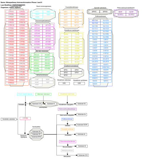 Metapathway biotransformation Phase I and II