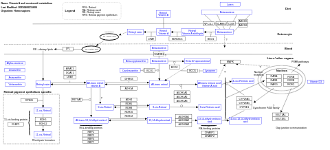 Vitamin A and carotenoid metabolism