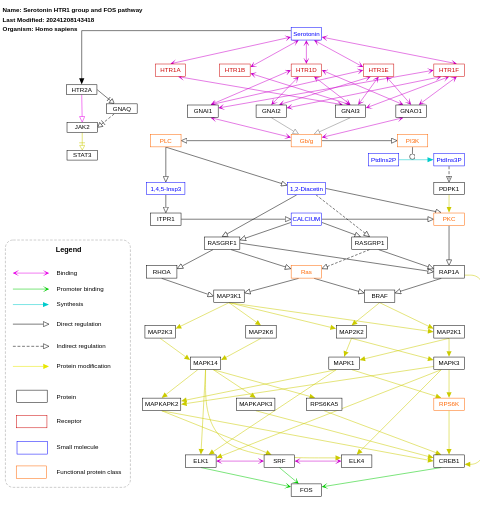 Serotonin HTR1 group and FOS pathway