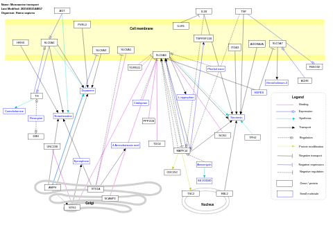 Monoamine transport