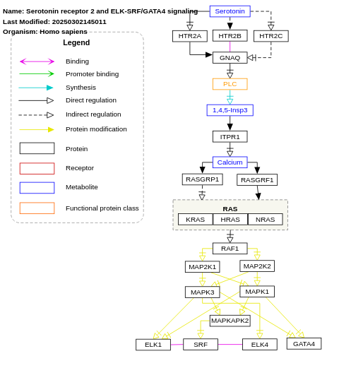 Serotonin receptor 2 and ELK-SRF/GATA4 signaling