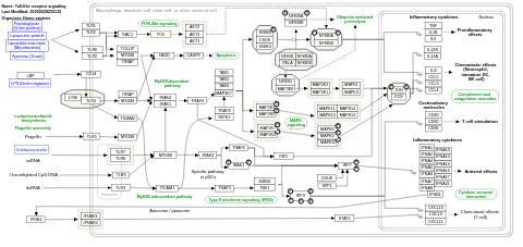 Toll-like receptor signaling pathway