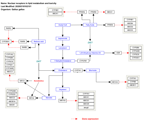 Nuclear receptors in lipid metabolism and toxicity