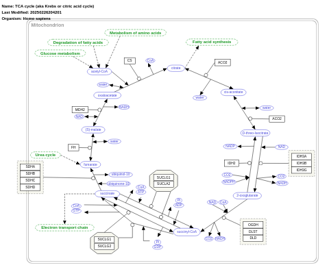 TCA cycle (aka Krebs or citric acid cycle)