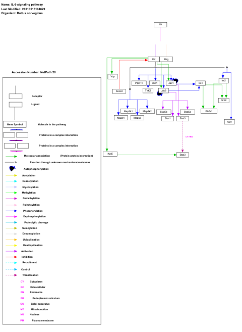 IL-9 signaling pathway