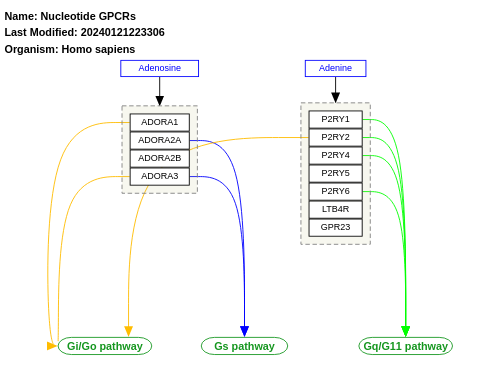 Nucleotide GPCRs