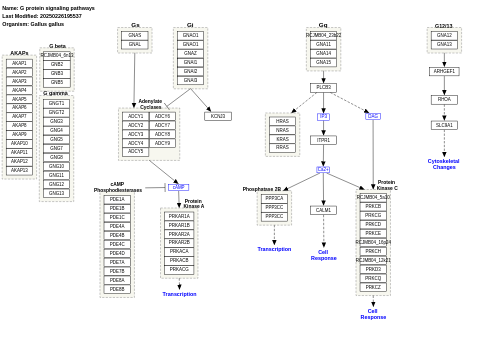 G protein signaling pathways