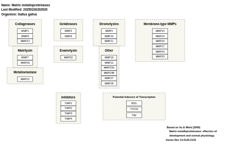 Matrix metalloproteinases