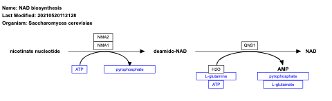 NAD biosynthesis