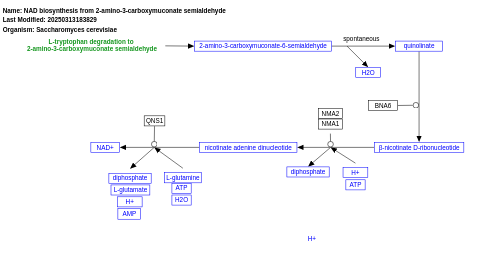 NAD biosynthesis