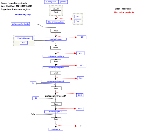 Heme biosynthesis