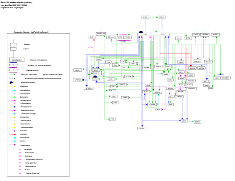 Kit receptor signaling pathway