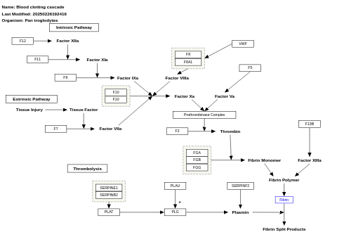 Blood clotting cascade