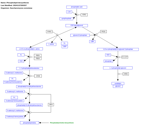 Phospholipid biosynthesis