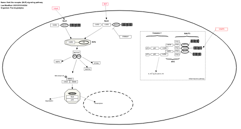 Nod-like receptor (NLR) signaling pathway