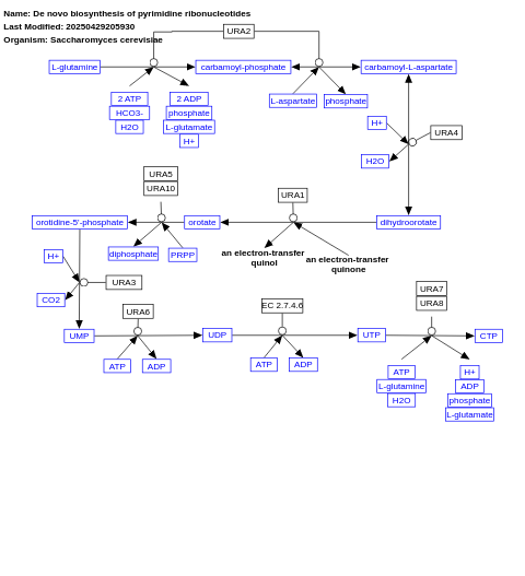 De novo biosynthesis of pyrimidine ribonucleotides