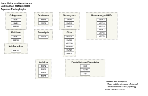 Matrix metalloproteinases